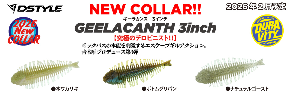 株式会社DSTYLE 公式サイト