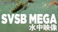 【公式】SVSB MEGA 水中映像