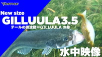 【NEW】GILLUULA3.5  水中映像