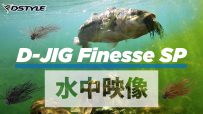 【公式】D-JIG Finesse SP 水中映像