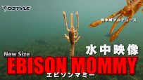 【公式】EBISON MOMMY (エビソンマミー)  水中動画