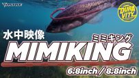 【公式】MIMIKING(ミミキング) 6.8inch – 8.8inch  水中映像