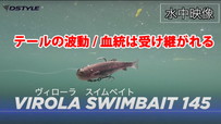 VIROLA SWIMBAIT 145 水中映像