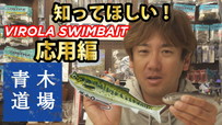 訂正公開【公式】青木道場 #024 知ってほしい！VIROLA SWIMBAIT 使用法「応用編」