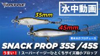 【公式】うまい！！スーパーイージーひとくちサイズ極小プロップ/SNACK PROP（スナックプロップ)35S / 45S  水中動画