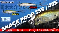 【公式】うまい！！スーパーイージーひとくちサイズ極小プロップ/SNACK PROP（スナックプロップ)35S / 45S  青木大介 徹底解説