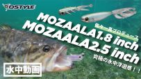 【公式】究極の水中浮遊感！！MOZAALA(モザーラ）1.8inch/2.5inch / 水中動画