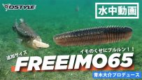 【公式】イモのくせにプルルン！！新サイズ FREEIMO65/2.5″ / 水中動画