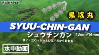【公式】SYUU-CHIN-GAN(シュウチンガン）臭沈丸/水中動画