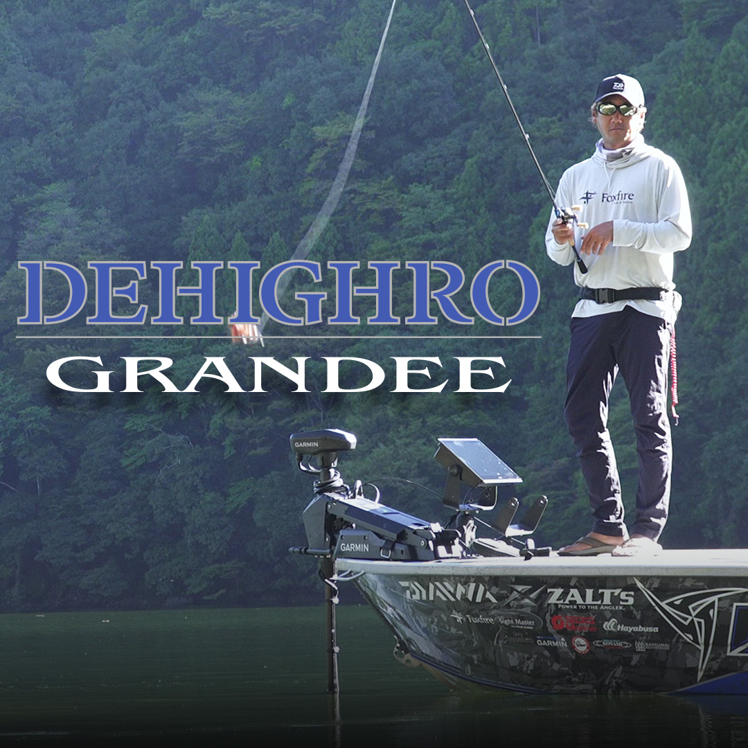 DEHIGHRO GRANDEE Spec（ディハイロ グランディースペック）