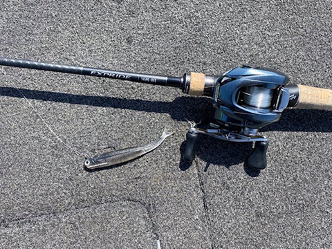 ロッド REVIEW RX1812W #12-13 REVIEW RX1812W 18# 12-13 フライロッド