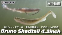 【公式】極上シャッドテール。食わせ理由は、このロールにある！！Bruno Shadtail 4.2inch(ブルーノ シャッドテール 4.2インチ）  水中動画