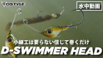 【公式】小細工は要らない信じて巻くだけ！！D-SWIMMER HEAD(ディースイマーヘッド)  水中動画