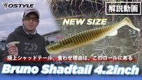 【公式】極上シャッドテール。食わせ理由は、このロールにある！！Bruno Shadtail 4.2inch(ブルーノ シャッドテール 4.2インチ）  青木大介　解説