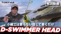 【公式】小細工は要らない信じて巻くだけ！！D-SWIMMER HEAD(ディースイマーヘッド)  青木大介　解説