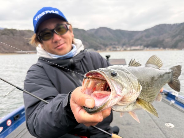 VIROLA HARD(ヴィローラハード) 60詳細