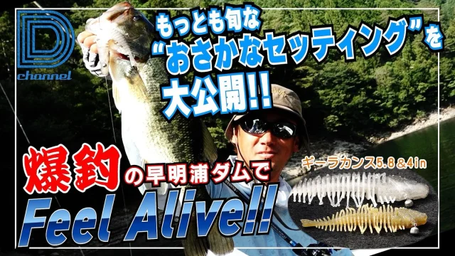バス釣り　青木大介DVD14枚セット 青木大介プロ バス釣りDVD 40本セット - メルカリ
