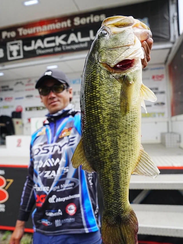 株式会社DSTYLE 公式サイト