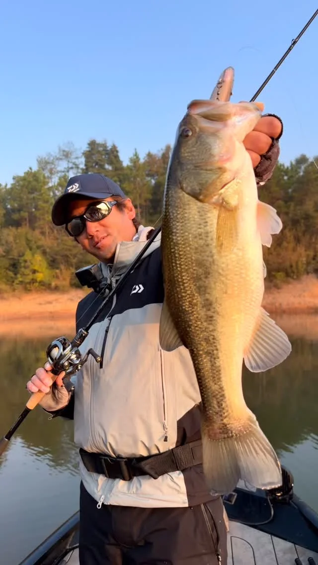 株式会社DSTYLE 公式サイト