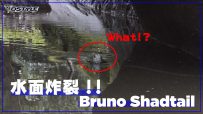 【公式】水面炸裂 Bruno Shadtail ！！